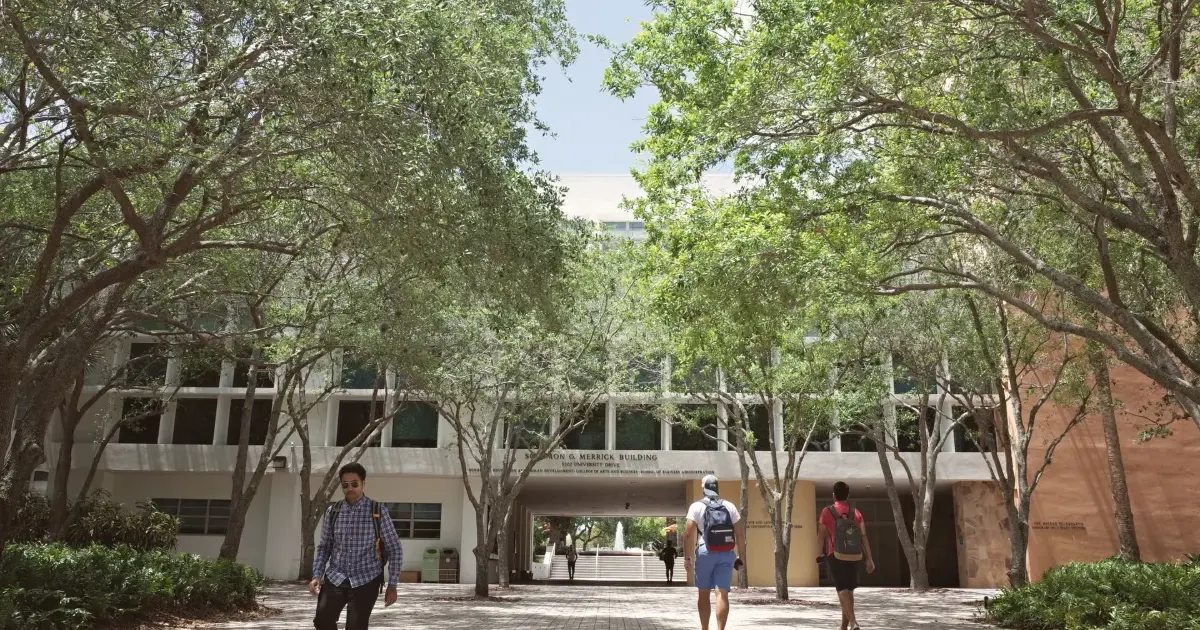 De la secundaria a la facultad: cómo prepararte para tu primer año universitario | Academia El Cursillo