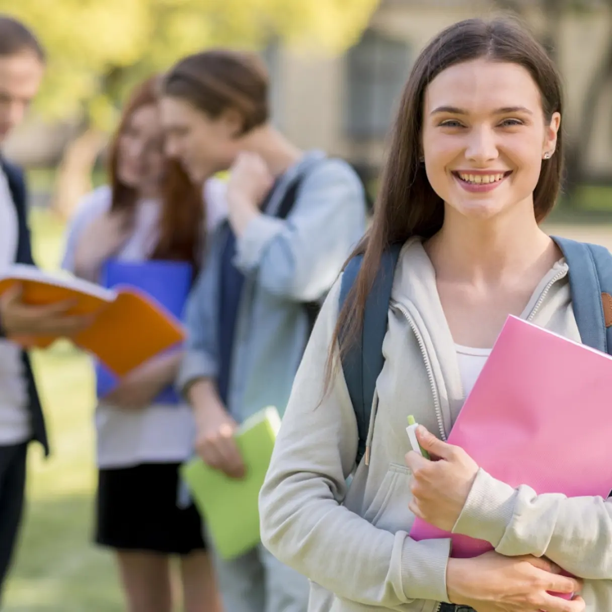 Curso Preparatorio de Preingreso Intensivo de Verano 2027 | Academia El Cursillo